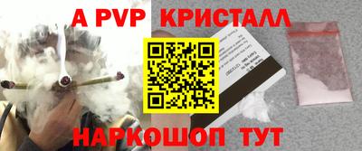 СК Камышлов