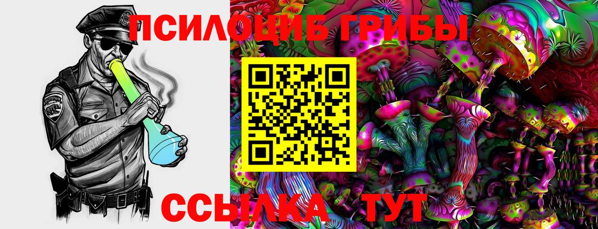 Галлюциногенные грибы MAGIC MUSHROOMS Куйбышев